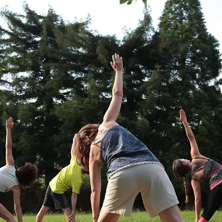 Casa Carmina ホステル *