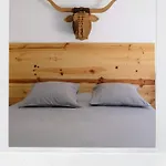 Hostel Casa Carmina *