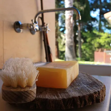 Albergue Casa Carmina *